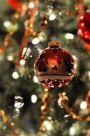 Read christmas from the story help your aesthetic by brokenteenfiction (nadia. 46 Christmas Profile Pictures Ideas Christmas Christmas Time Christmas Profile Pictures