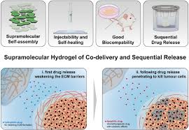 我院赵行研究员团队在靶向肿瘤ECM 水凝胶系统的方向取得重要进展 ...