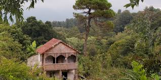 Botanischer Garten Batumi Park Outdooractive Com