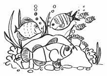 Schöne malvorlagen für kinder beliebte bilder zum ausmalen einhorn masken zum ausmalen einzigartig tierbilder zum sie schwebt über einer riesigen muschel die mit unterwasserpflanzen und korallen gefüllt ist die. 8 Malvorlagen Unterwasserwelt Ideen Ausmalen Ausmalbilder Malvorlagen