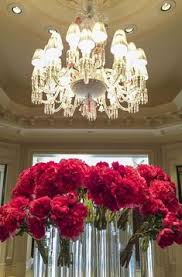 Flightradar24 tracks 180,000+ flights, from 1,200+ airlines, flying to or from 4,000+ airports around the world in real time. 160 Luxury Hotel Flowers Ideas Hotel Flowers Flower Arrangements Luxury Hotel