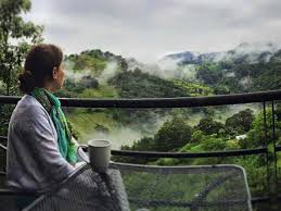 Cabanas De Lujo Cerca De Cdmx Para Un Fin De Semana Viajes En Mexico Lugares Hermosos Cabanas