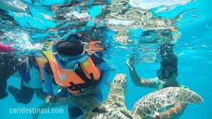 Kita boleh menempah servis snorkeling dan skuba diving yang ibu sangat rekemen untuk dilakukan di sana. Pulau Redang Tempat Menakjubkan Di Terengganu Tempat Menarik