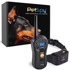 We would never recommend a training collar for this reason. The Best Dog Training Shock Collars According To A Vet Pet Life Today