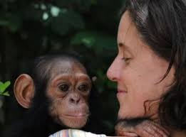 We Animals: the compassionate and enlightening world of Jo-Anne McArthur