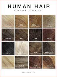 Nice And Easy Hair Color Chart 2019 Hair Color Chart Brown Hair Color Chart Easy Hair Color