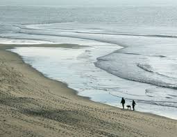 Traumhafte hotels und ferienwohnungen am bodensee. Die Schonsten Hundestrande An Der Nordsee
