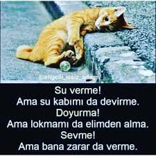 Takip Edin Instagram Engelli Issiz Adam Ayi Instagram