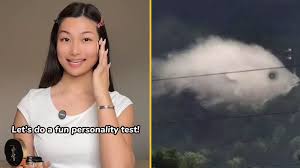 This optical illusion tells you what your personality is based on what you  see