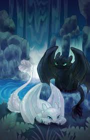 This unnamed light fury is a female light fury and toothless' mate who first appeared in how to train your dragon: Light Fury And Toothless By Eveningshadowprints On Deviantart
