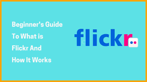 Flickfolio is the best photo gallery and slideshow app for flickr. What Is Flickr And How This Work A Brief Introductory Guide To Beginner S