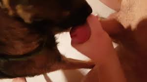 Dog handjob porn