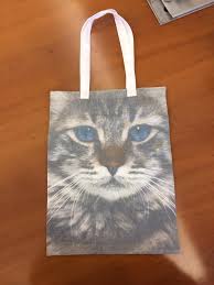 Kedi Baskili Ham Bez Torba Canta Canta Modelleri Kedi