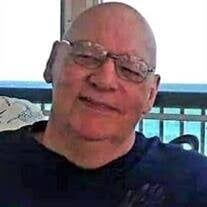 James Everett Stevens Obituary