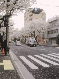 Check spelling or type a new query. Japan Via Tumblr Image 3735158 On Favim Com