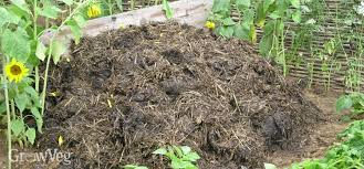 Then, no matter which method you've chosen, cover all this fertilizer with two or three inches of soil. The Secret To Improving Sandy Soil