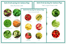 Pin On Guinea Pig Safe Foods