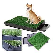 Dog Potty Training Pee Turf Grass Pad Indoor Pet Patch 25x20x25 Mat Trainer Check Out This Great Product Dog Potty Dog Potty Training Dog Pee Pads