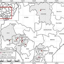 Image result for Sphenostylis briartii