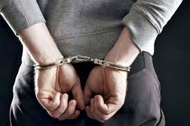 Image result for चिड़िया दाना खाती