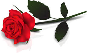 Gallery Recent Updates Rose Clipart Single Red Rose Rose