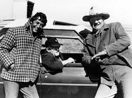 Résultat de recherche d'images pour "les cow boy film rydell"