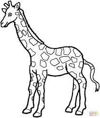 Giraffen Ausmalbilder Ausmalbilder Giraffen Ausmalen Ausmalbilder Ausmalbilder Tiere