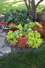 Pin By Holly Carpentier On Gardens Cheap Landscaping Ideas Backyard Landscaping Designs Front Yard Landscaping Design