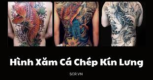 9 hình xăm đẹp ở vai nữ Hinh XÄƒm Ca Chep Kin LÆ°ng Ä'áº¹p Tattoo Ca Chep Full LÆ°ng