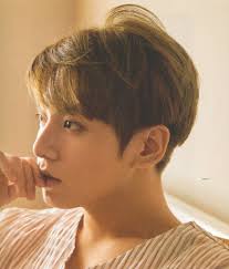 Atoz V On Twitter Scan Love Yourself 承 Her L Version In 2020 Jungkook Bts Concept Photo Jeon Jungkook