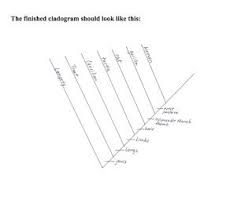 Science Stuff Teach Classification And Make It Fun Teaching Biology Life Science Classroom Taxonomy