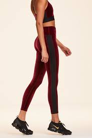 velvet tight in bordeaux