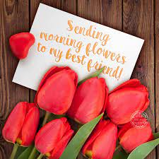 Above all getting inspirational good morning. Sending Morning Flowers To My Best Friend Download On Funimada Com