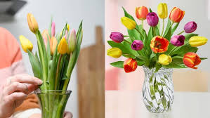 We did not find results for: 1 800 Flowers Review How To Order Flowers For Valentine S Day Reviewed