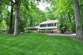 The varieties in this blend represent the latest in turfgrass breeding technology with improved insect and disease resistance, darker color, finer more uniform texture and dwarf growing habit for reduced maintenance. Turf Type Tall Fescue Grass Seed
