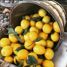 Limones Best Lemonade Lemon Pictures Delicious Fruit