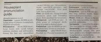 3 Houseplant Pronunciation House Plants Indoor Plants Drought