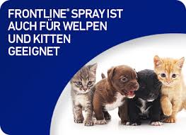 Frontline Spray für Katzen und Hunde | Zeckenspray für Tiere | Jetzt kaufen