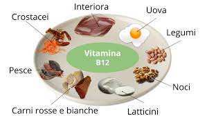 A cosa serve e quali sono gli alimenti che la contengono. Vitamina B12 A Cosa Serve Dove Si Trova Alimenti Eccesso E Carenza