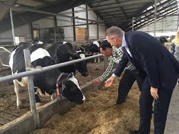 Sixteen percent of the population of malaysia is employed through some sort of agriculture. Minister Esben Lunde Larsen Archives Scandasia