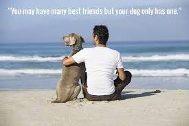 Maybe you would like to learn more about one of these? 27 Dog Best Friend Quotes That Perfectly Sum Up Your Relationship