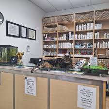 The Best 10 Veterinarians near Ross Merlin Dr Vet in Surrey, BC