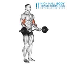 Ez Bar Biceps Curl Exercise How To Workout Trainer By Skimble
