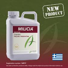 Image result for Milicia
