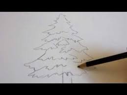 Evergreen Tree Sketch Christmas Cards 30 Ideas Tree Drawing Tree Sketches Trees Drawing Tutorial