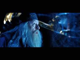 Harry potter and the deathly hallows: Harry Potter And The Order Of The Phoenix 2007 Imdb