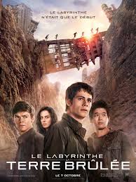 Le Labyrinthe La Terre Brulee Film 2015 Allocine