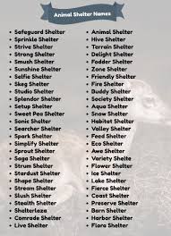 200 Catchy Animal Shelter Names Ideas Animal Shelter Wild Animal Sanctuary Shelter