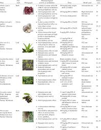 Image result for Droogmansia