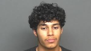 Surprise police arrest teen who killed man in road-rage shooting